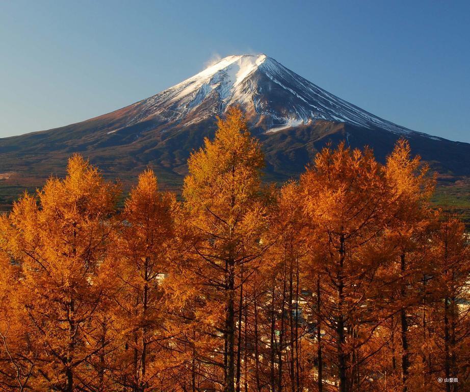 Pension Mozart Yamanakako Luaran gambar
