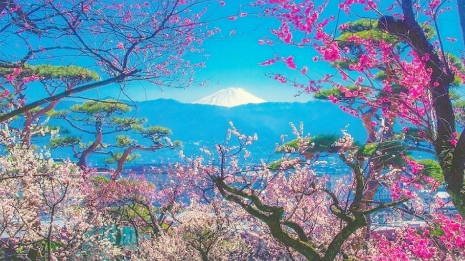 Pension Mozart Yamanakako Luaran gambar